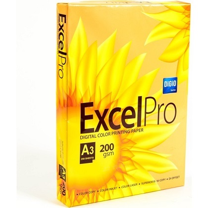 ExcelPro 