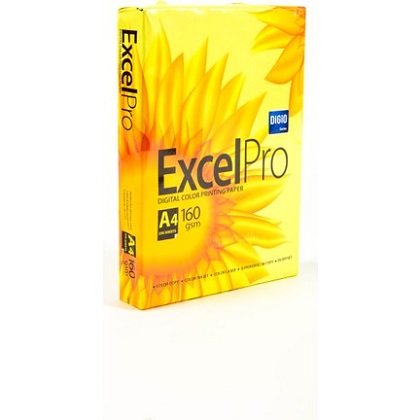 ExcelPro 