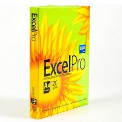 ExcelPro 